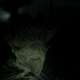 The Floronic Man.
